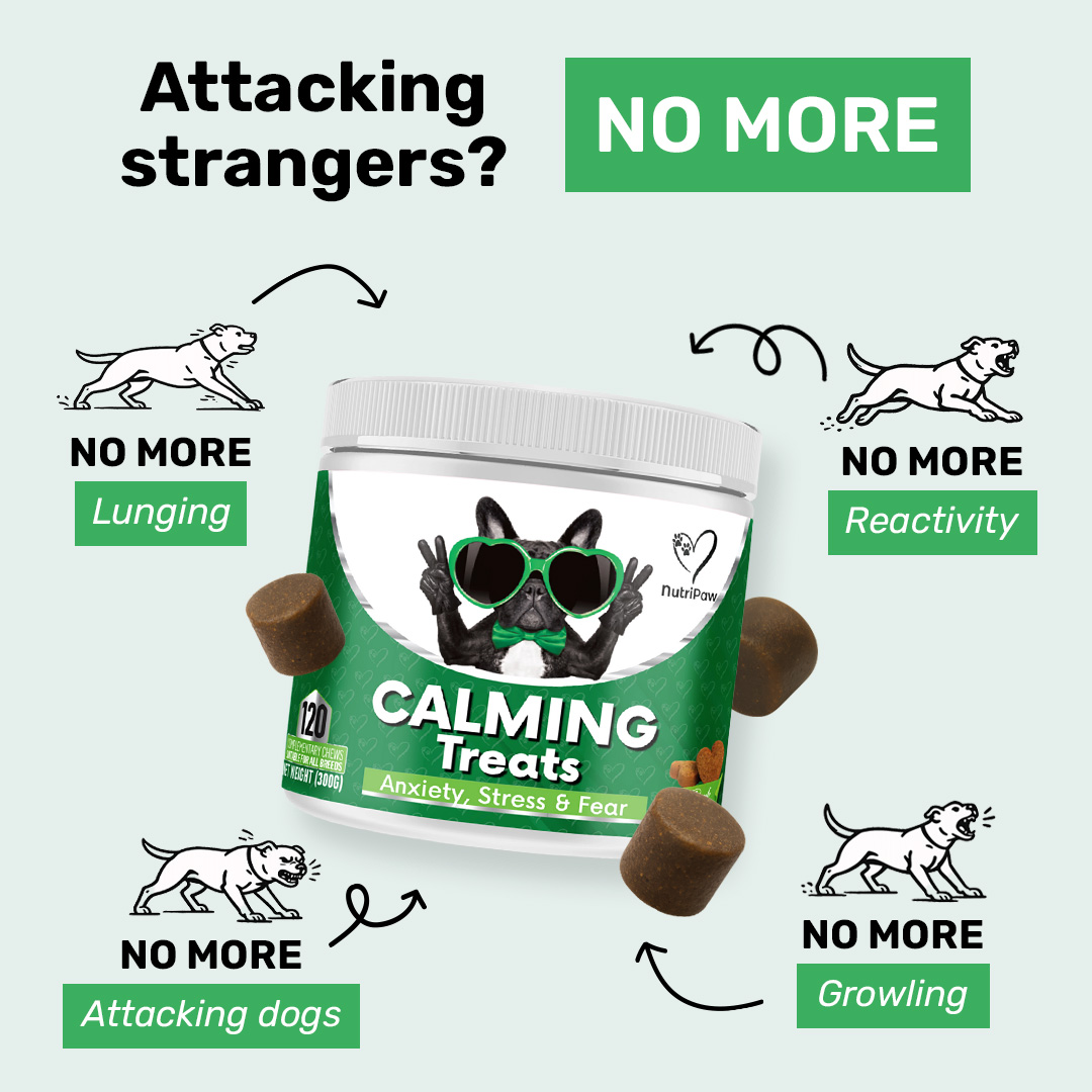 Better Dog Behaviour Facebook ad: Help Your Dog Feel Safe Again.