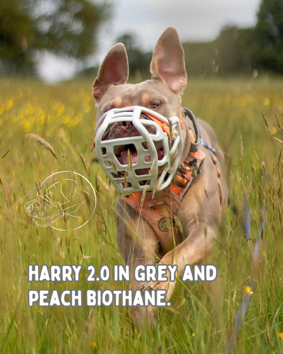 The Muzzle Movement ad creative