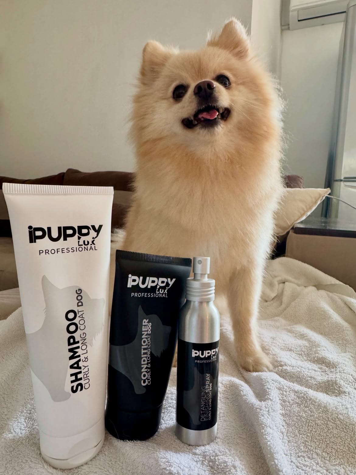 IPuppyLux Professional Facebook ad