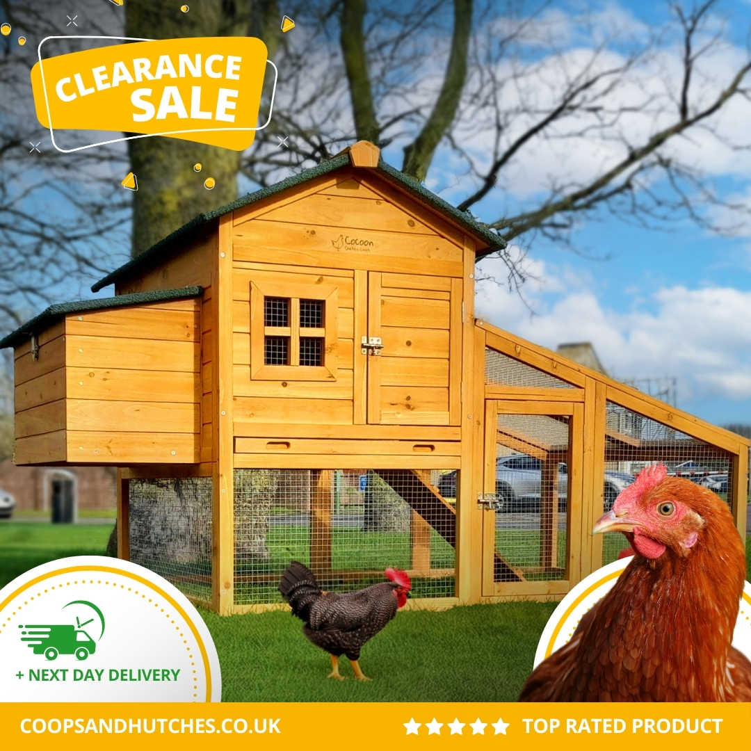Coops & Hutches Facebook ad: Huge Clearance Sale, Very Limited Stock At This…