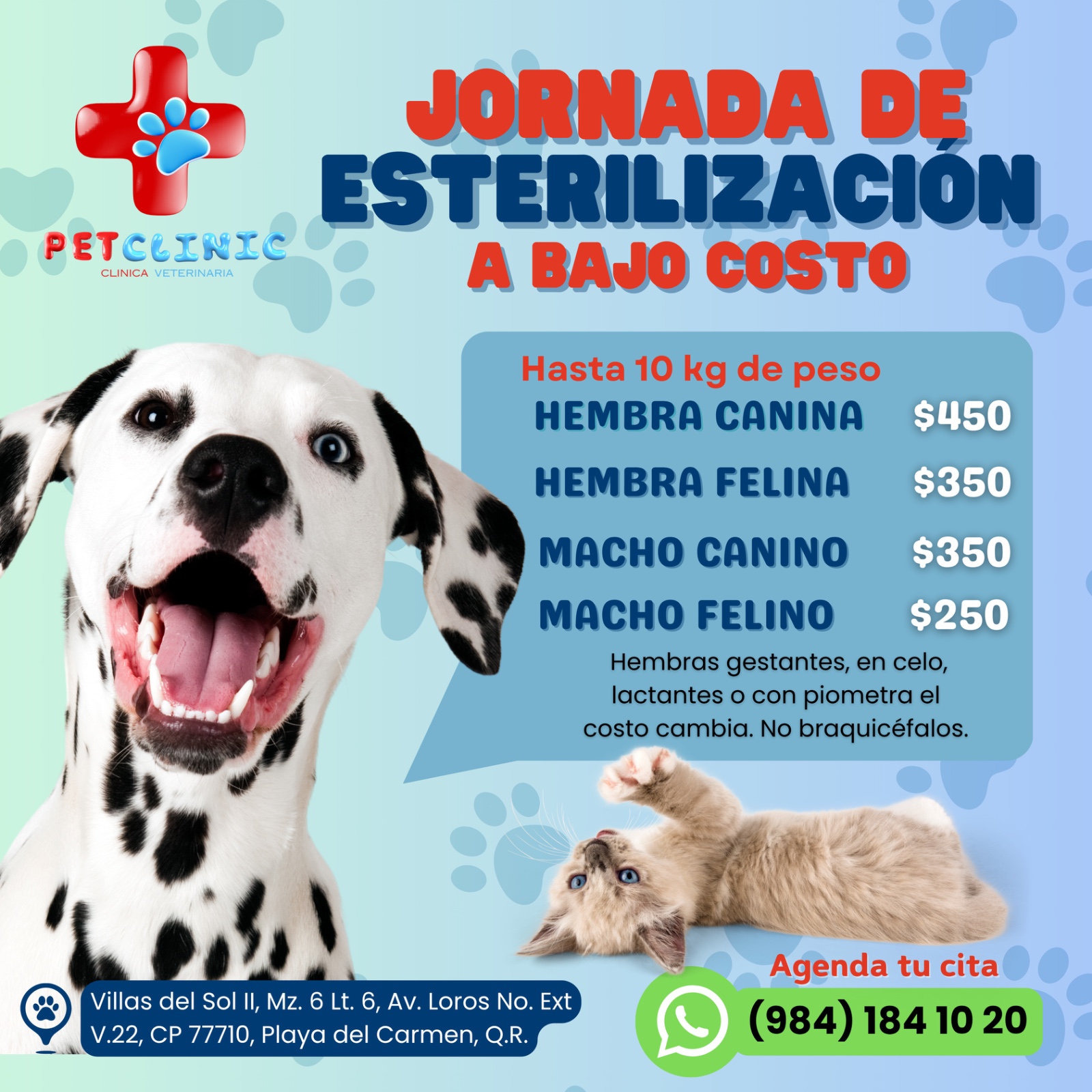 Clínica Veterinaria PetClinic Playa del Carmen Facebook ad
