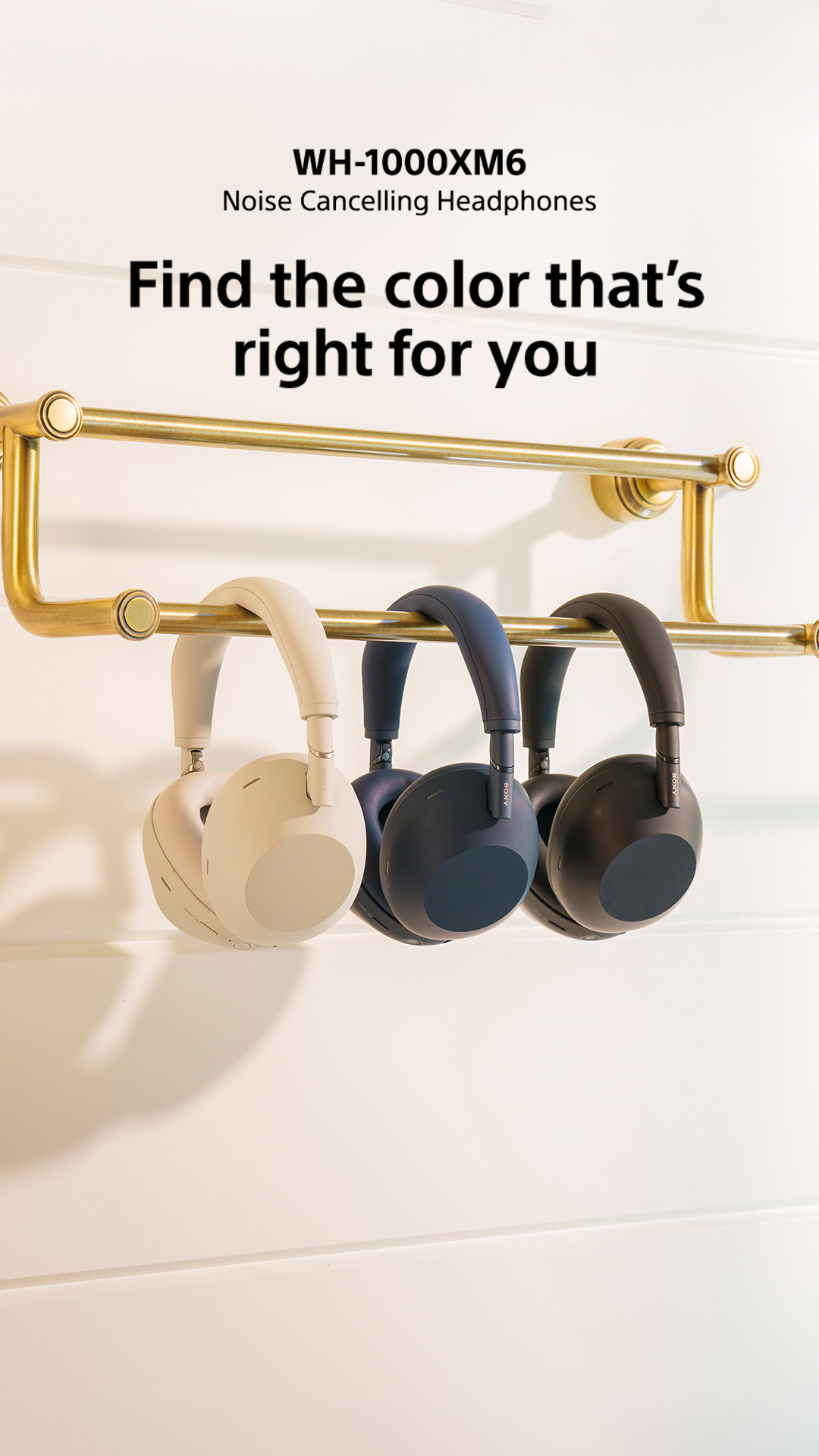 Sony Electronics Facebook ad: 1000X Series
