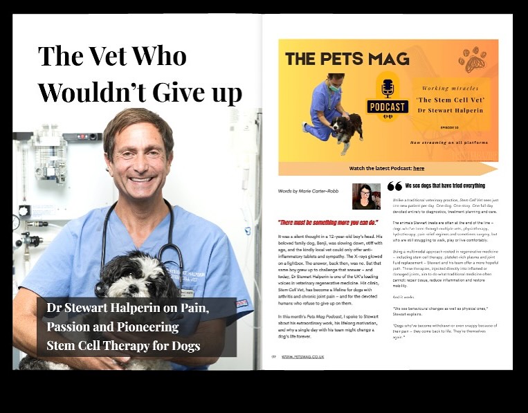 stemcellvet.co.uk Facebook ad: Dr. Stewart Halperin was recently featured in the…