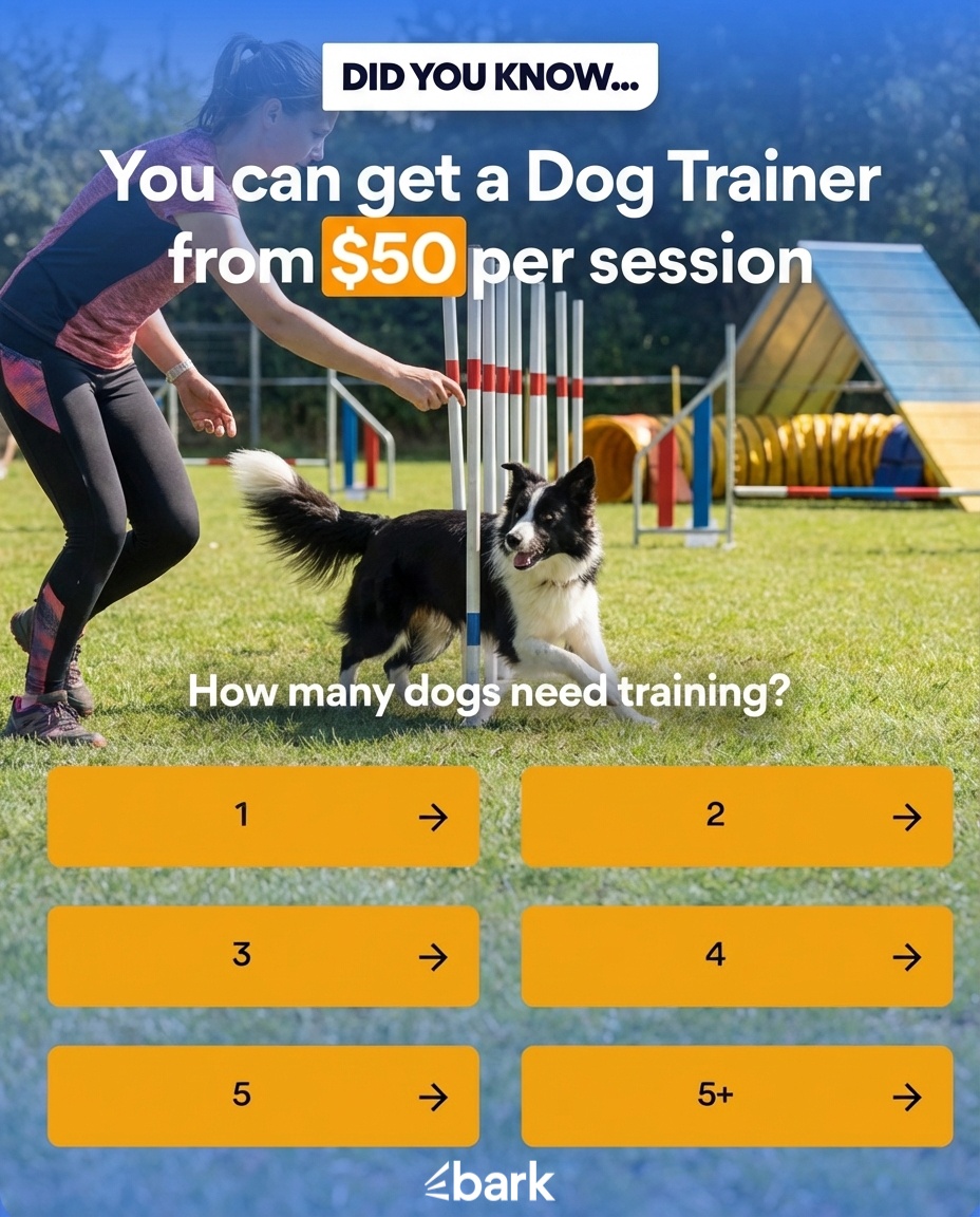 Bark.com Facebook ad