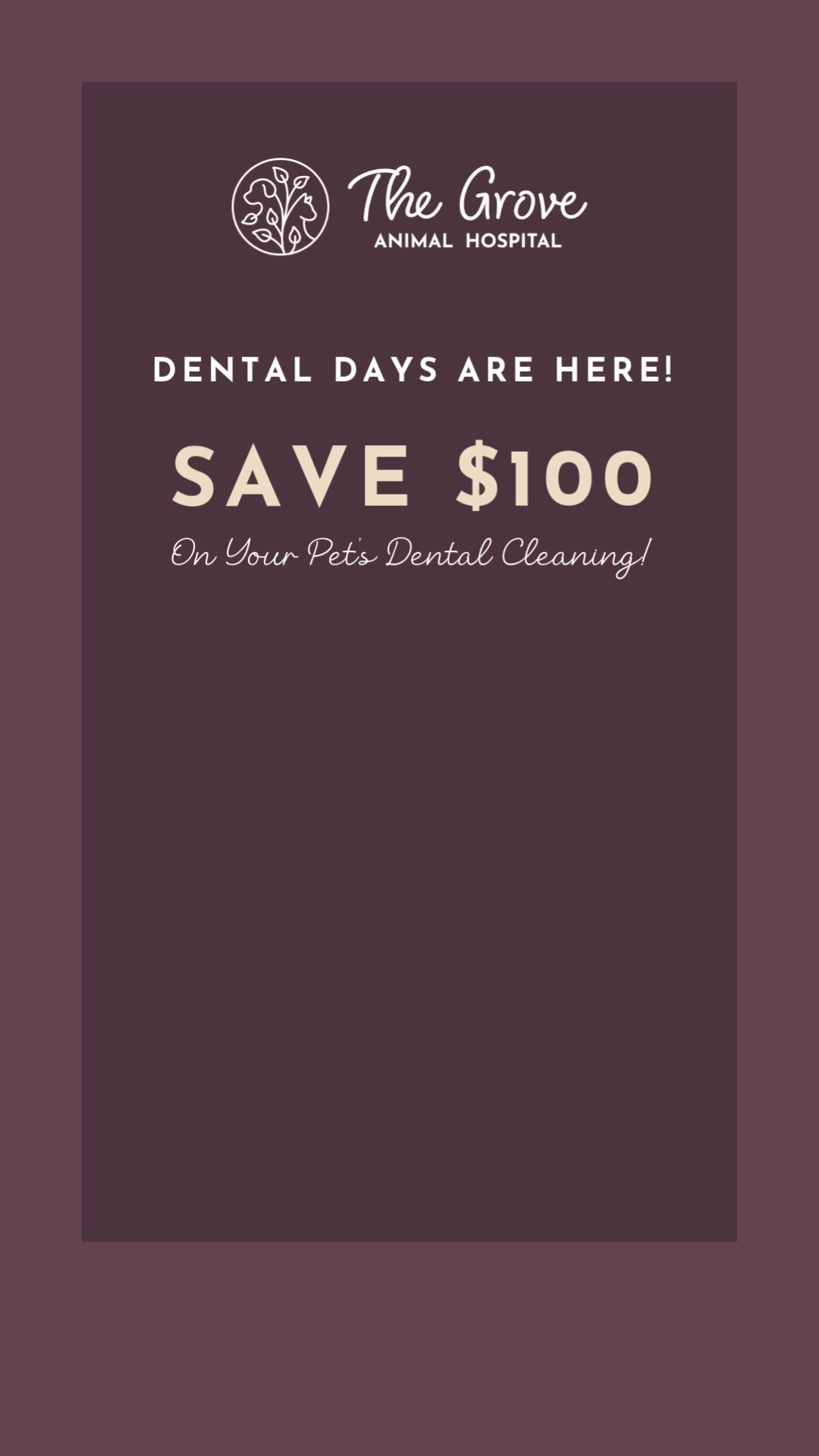 The Grove Animal Hospital Facebook ad from Jan 31, 2026
