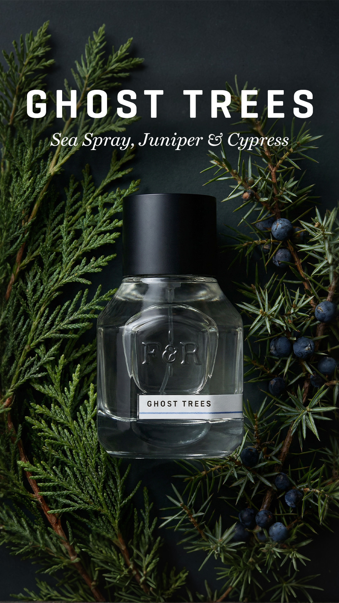 Fulton & Roark Facebook ad