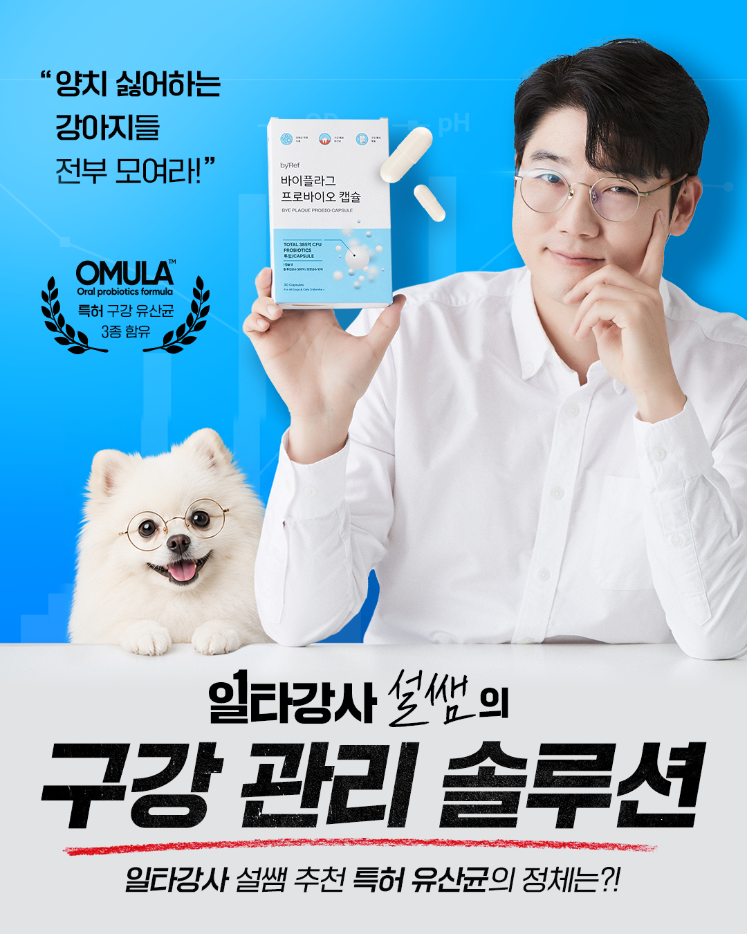놀로스토어 knollo store Facebook ad: 수의사 설계 유산균