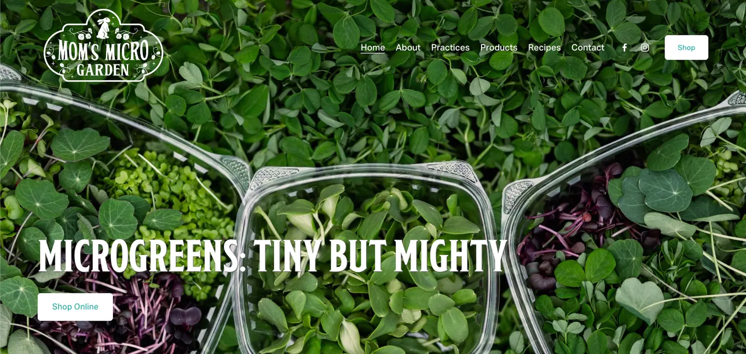 Moms Micro Garden and Urban Farm Facebook ad