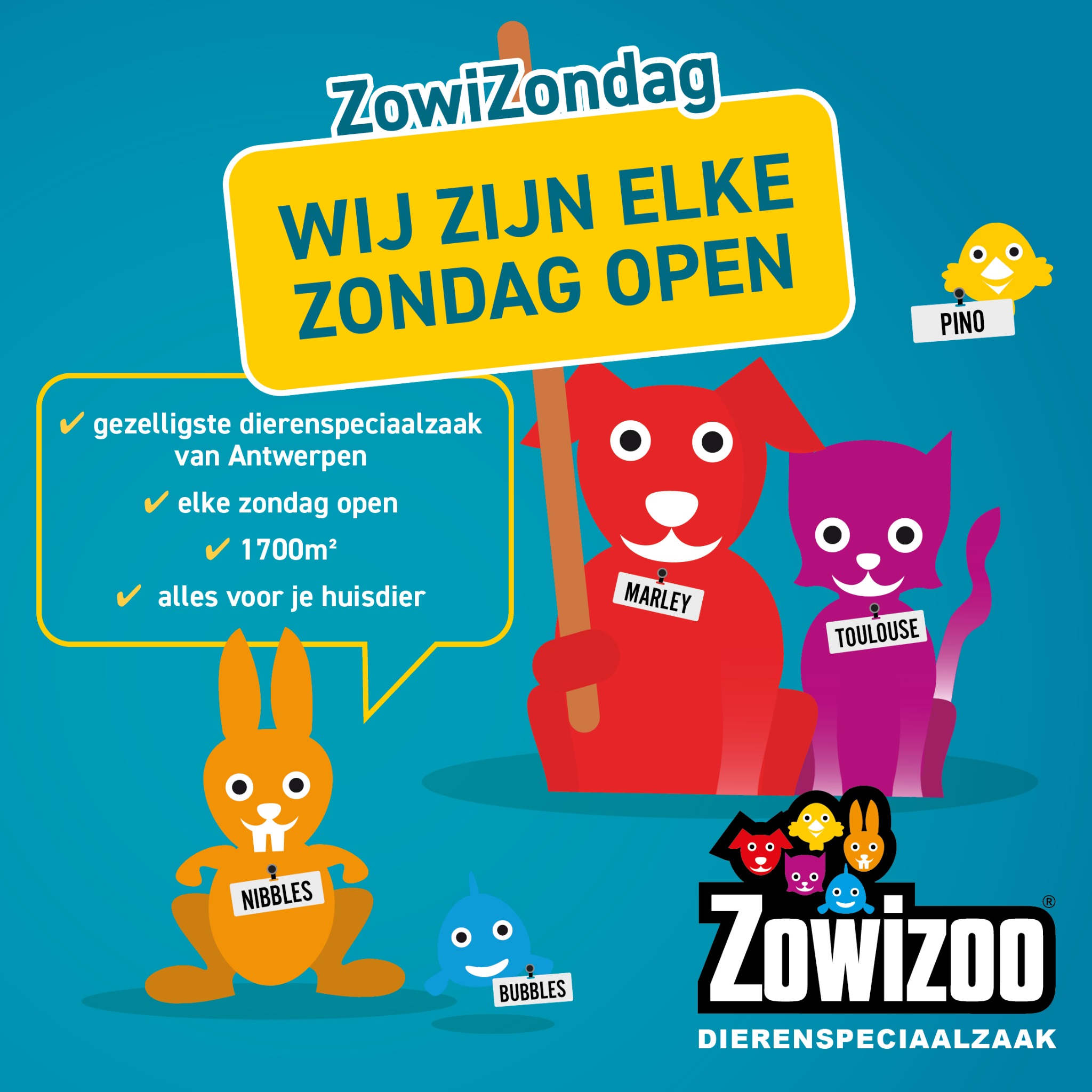 Zowizoo Facebook ad