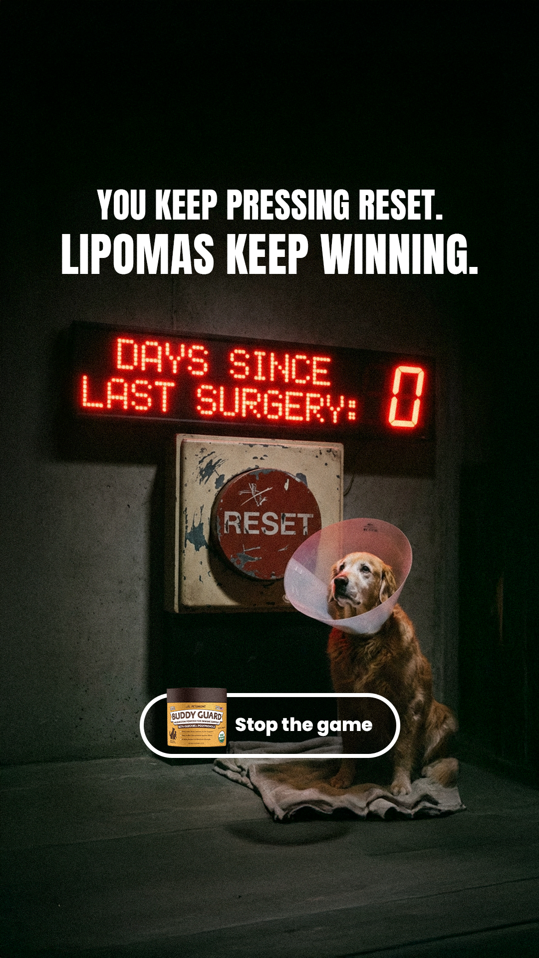 Petsmont Facebook ad