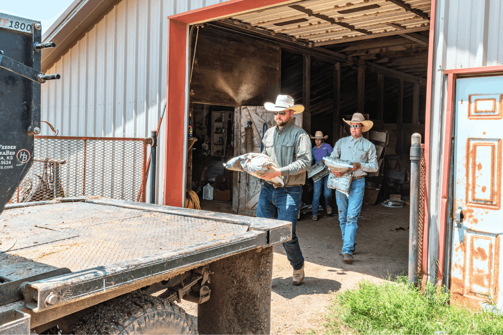 Central Life Sciences - ClariFly Larvicide Facebook ad: Spring Feed-Through Fly Control for Beef & Dairy Cattle |…