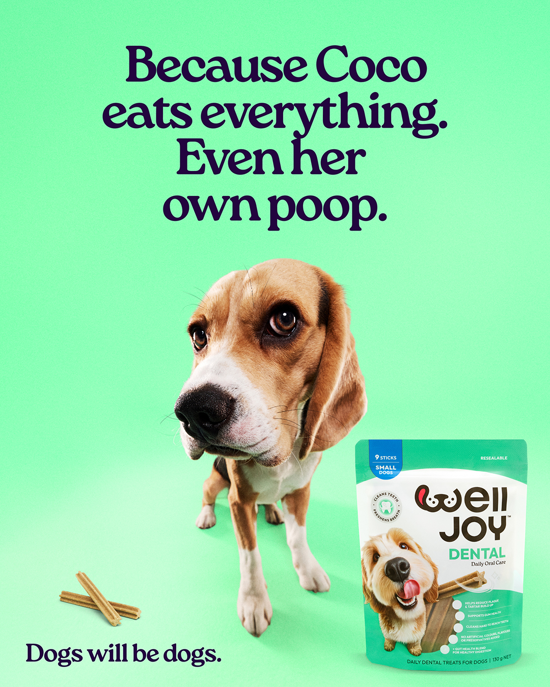 WellJoy Australia Facebook ad: WellJoy Dental Sticks