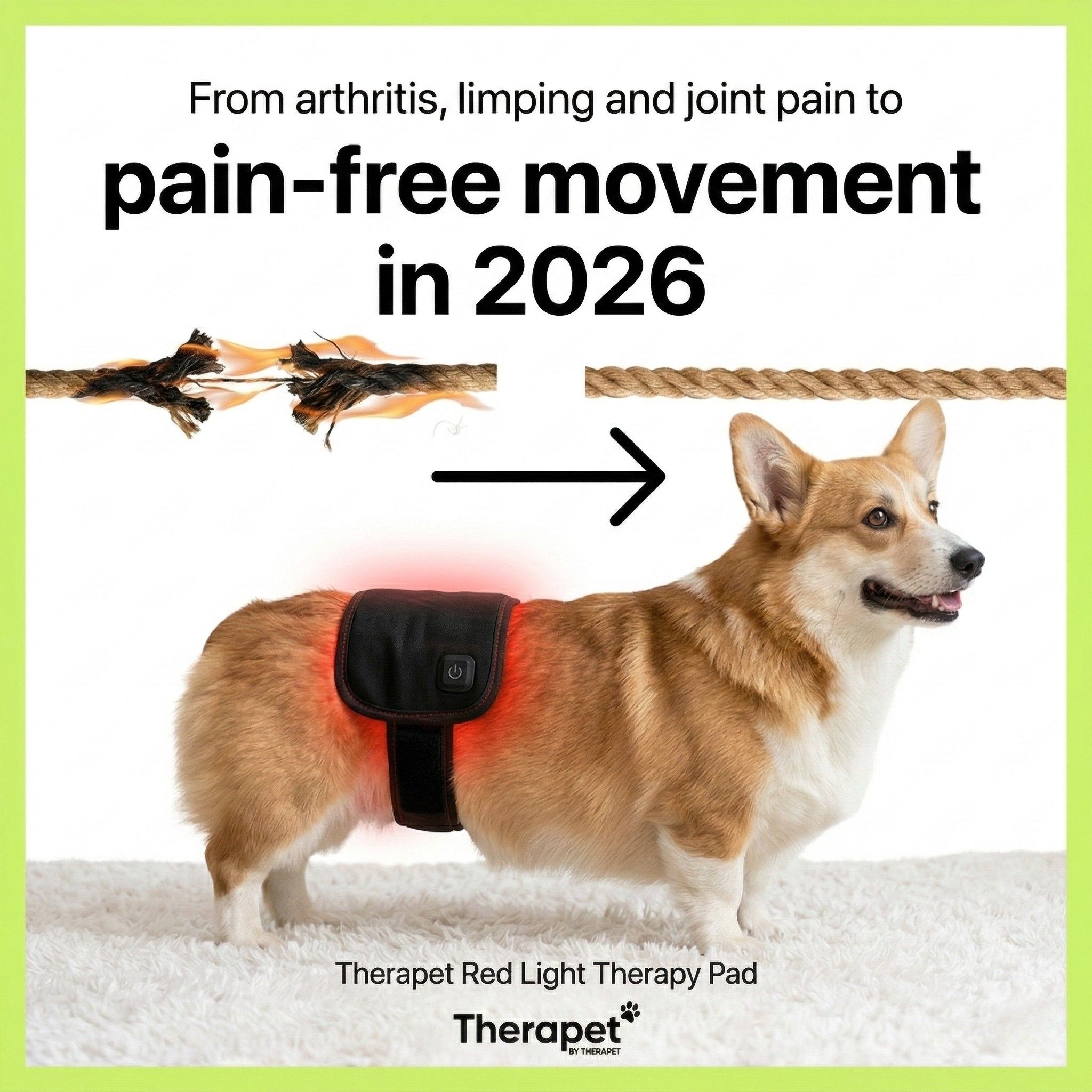 Therapet Co Facebook ad