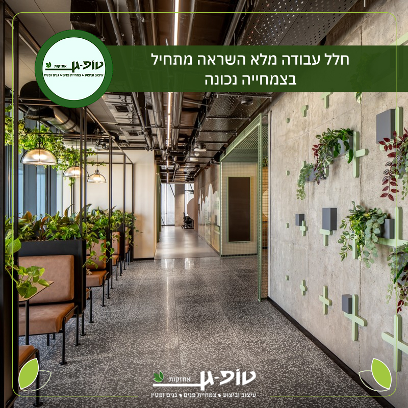 טופ-גן אחזקות Facebook ad: הלקוחות שלכם רואים את זה.