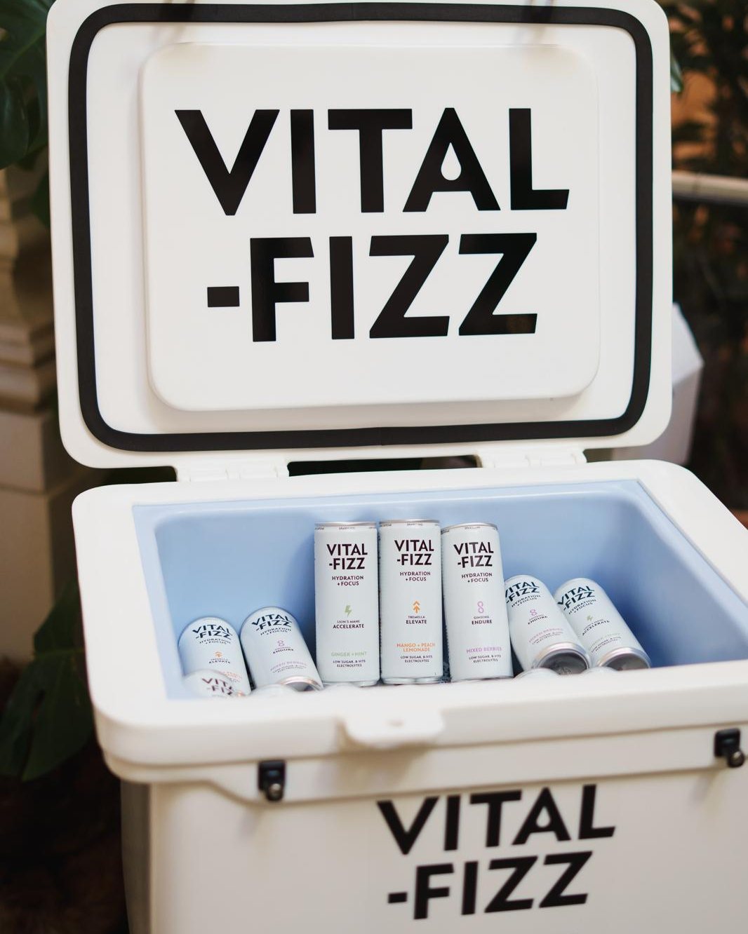 Vital-Fizz Facebook ad