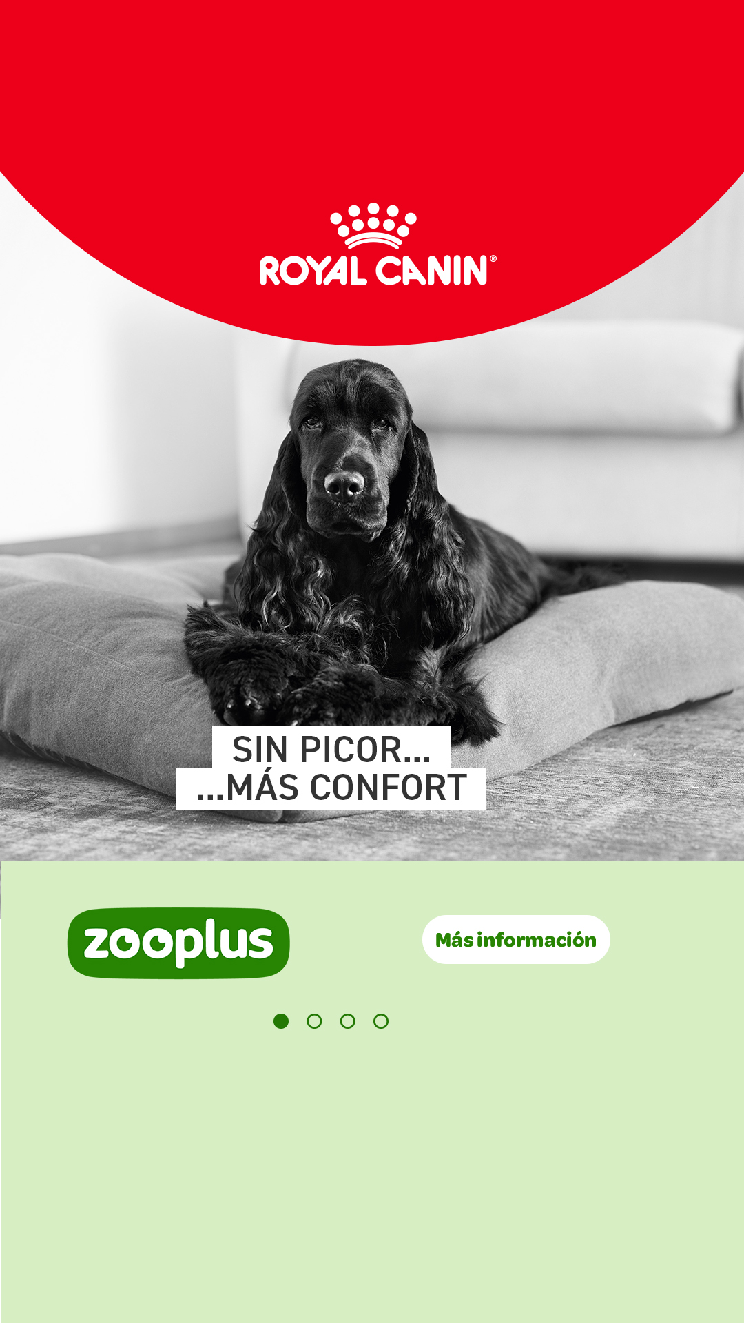 zooplus Facebook ad from Jul 29, 2026