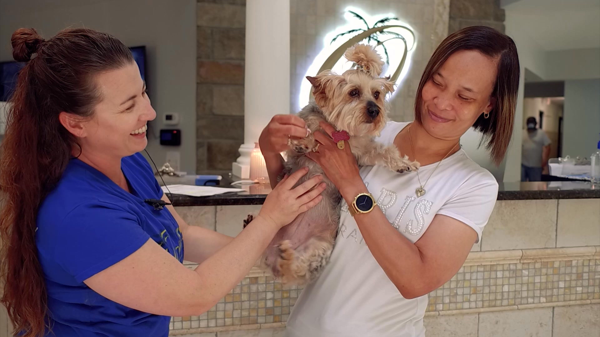 Blessed Oasis Pet Resort Facebook ad from Mar 3, 2026