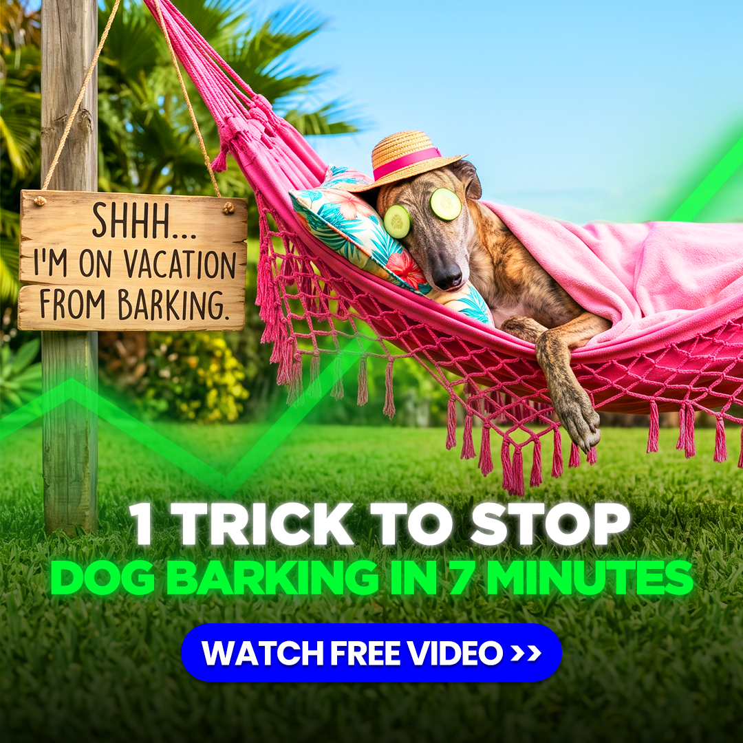 Mike James Dog Training Facebook ad