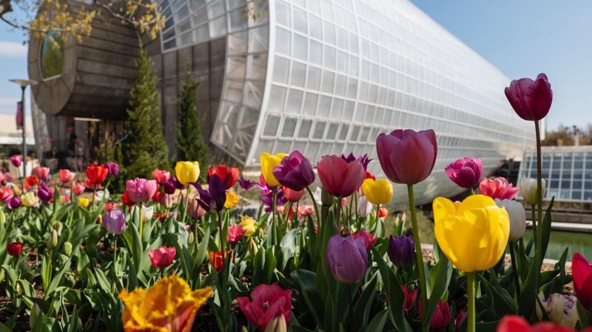 Visit OKC Facebook ad: Events, Festivals & Shows Happening this Month in Oklahoma…