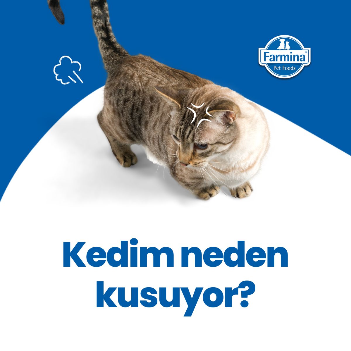 Farmina Türkiye Facebook ad: Kedim Neden Kusuyor?