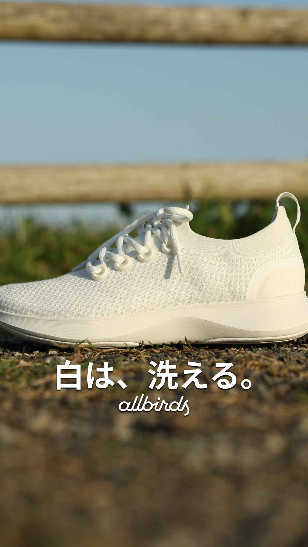 Allbirds Japan Facebook ad