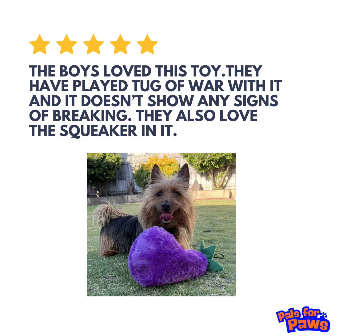 Pals for Paws Facebook ad: Fun dog toys inside