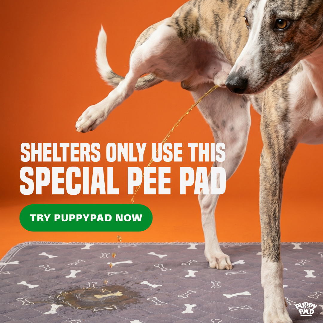 PuppyPad Facebook ad