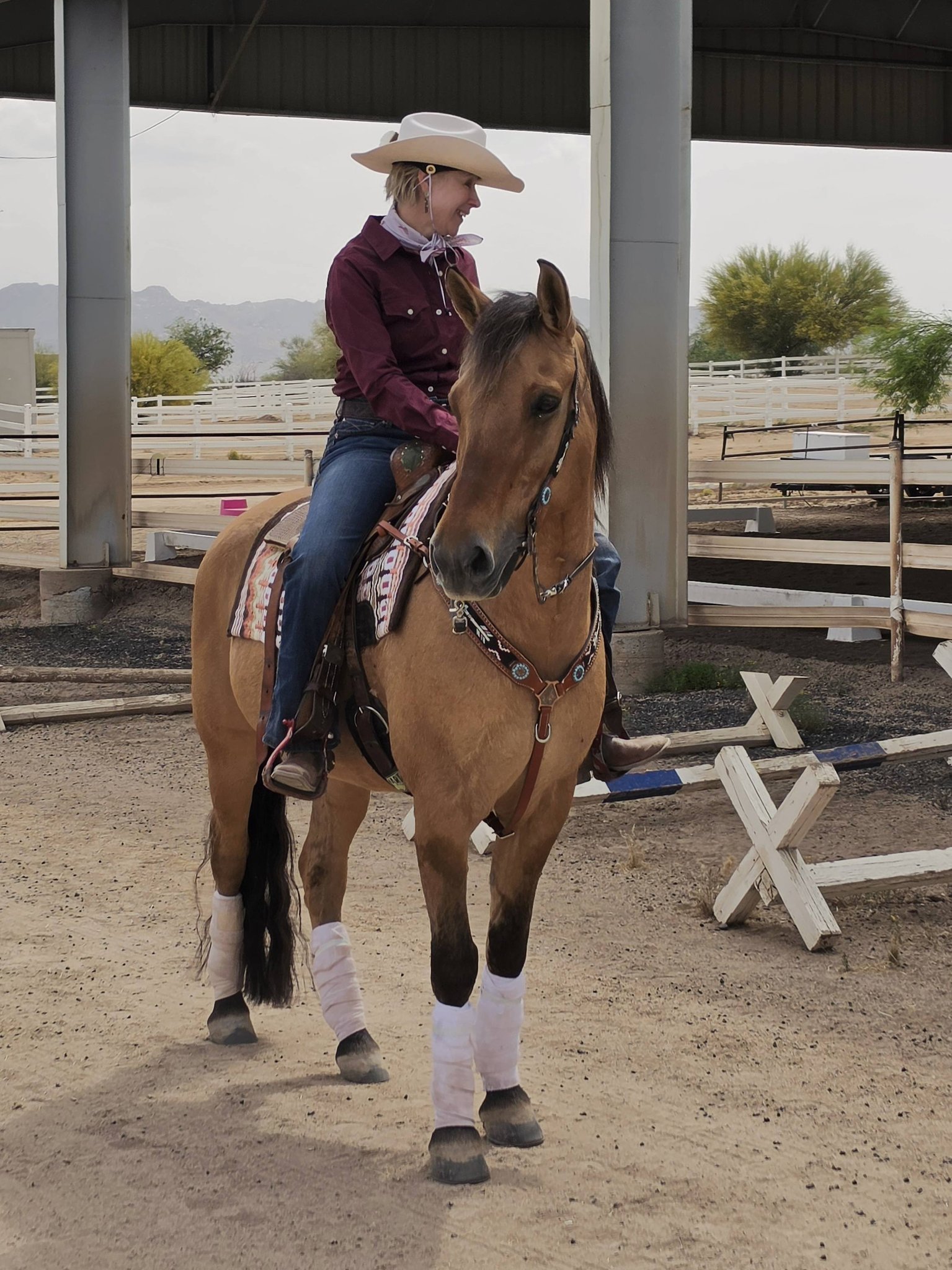 Marissa Mendoza Performance Horses Facebook ad: Book a Horseback Riding Lesson