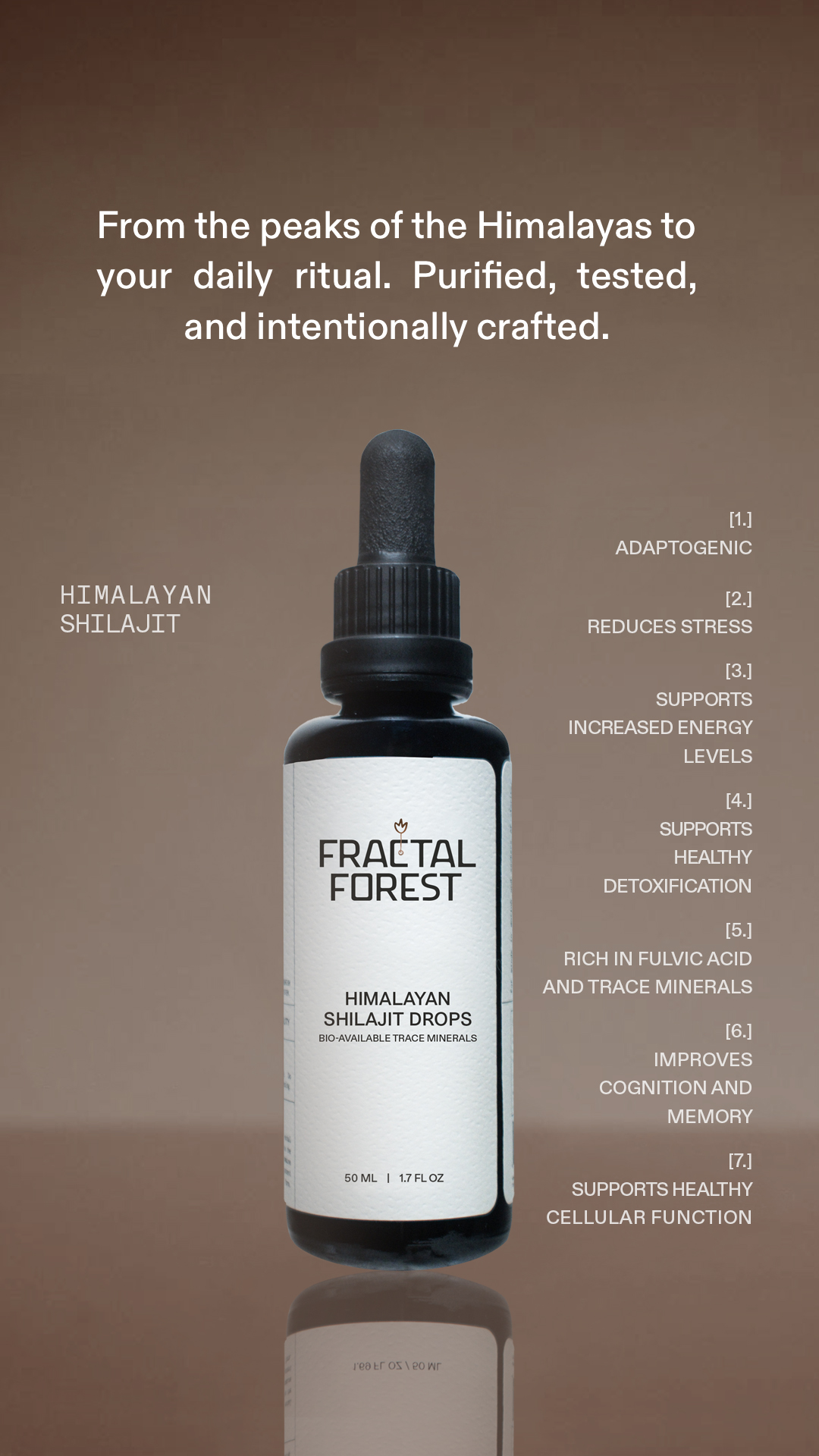 Fractal Forest Facebook ad
