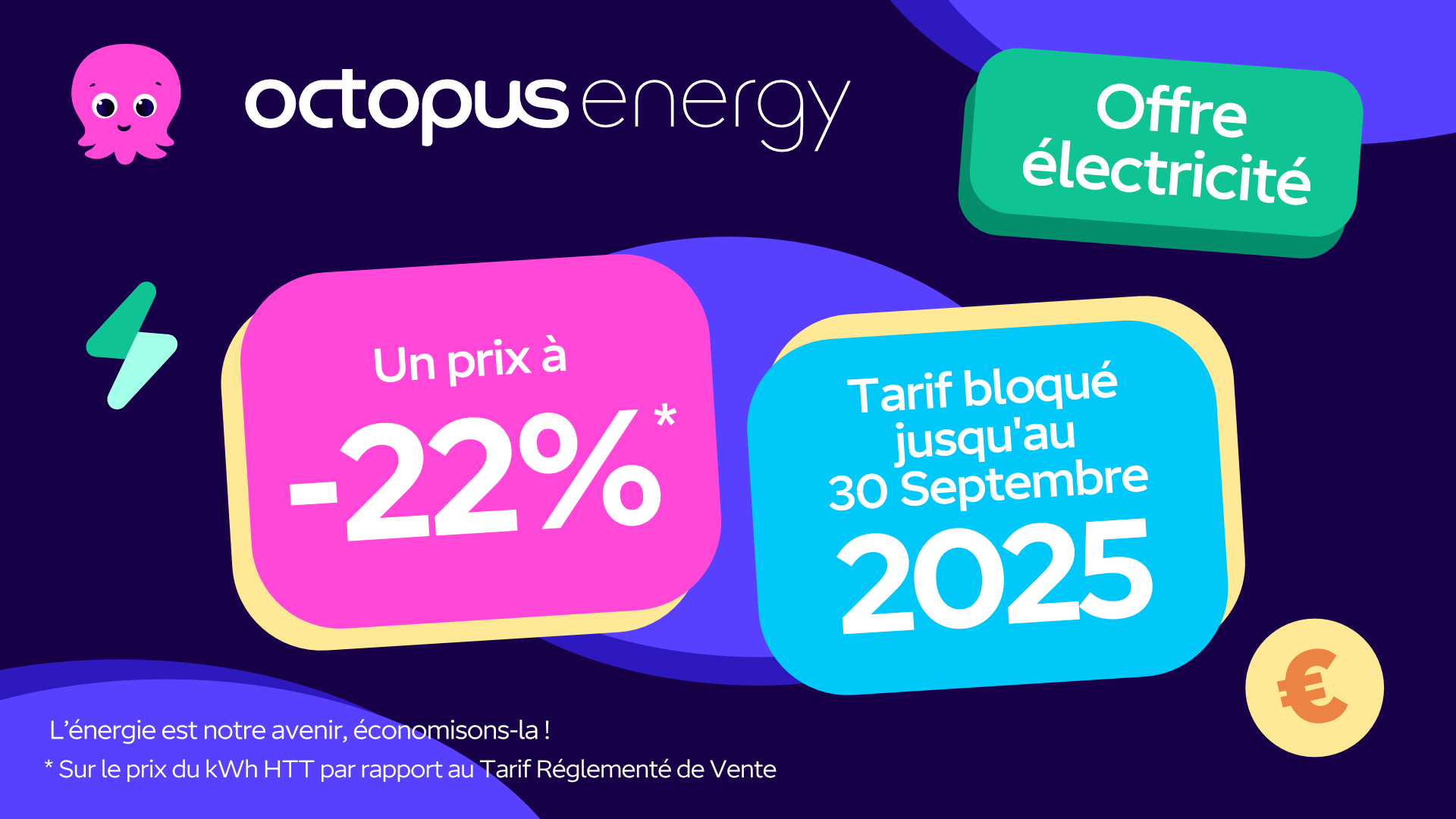 Octopus Energy Facebook ad