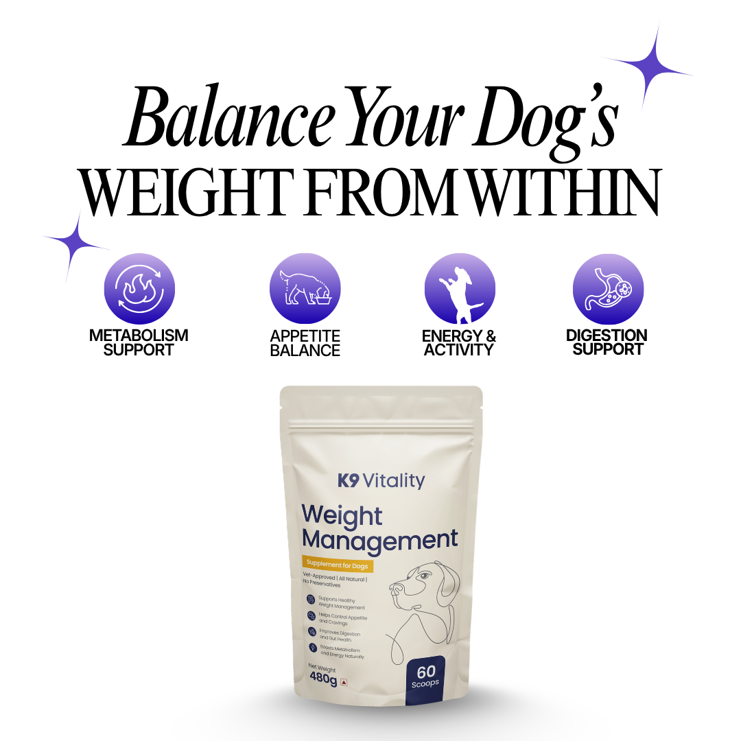 K9 Vitality Facebook ad