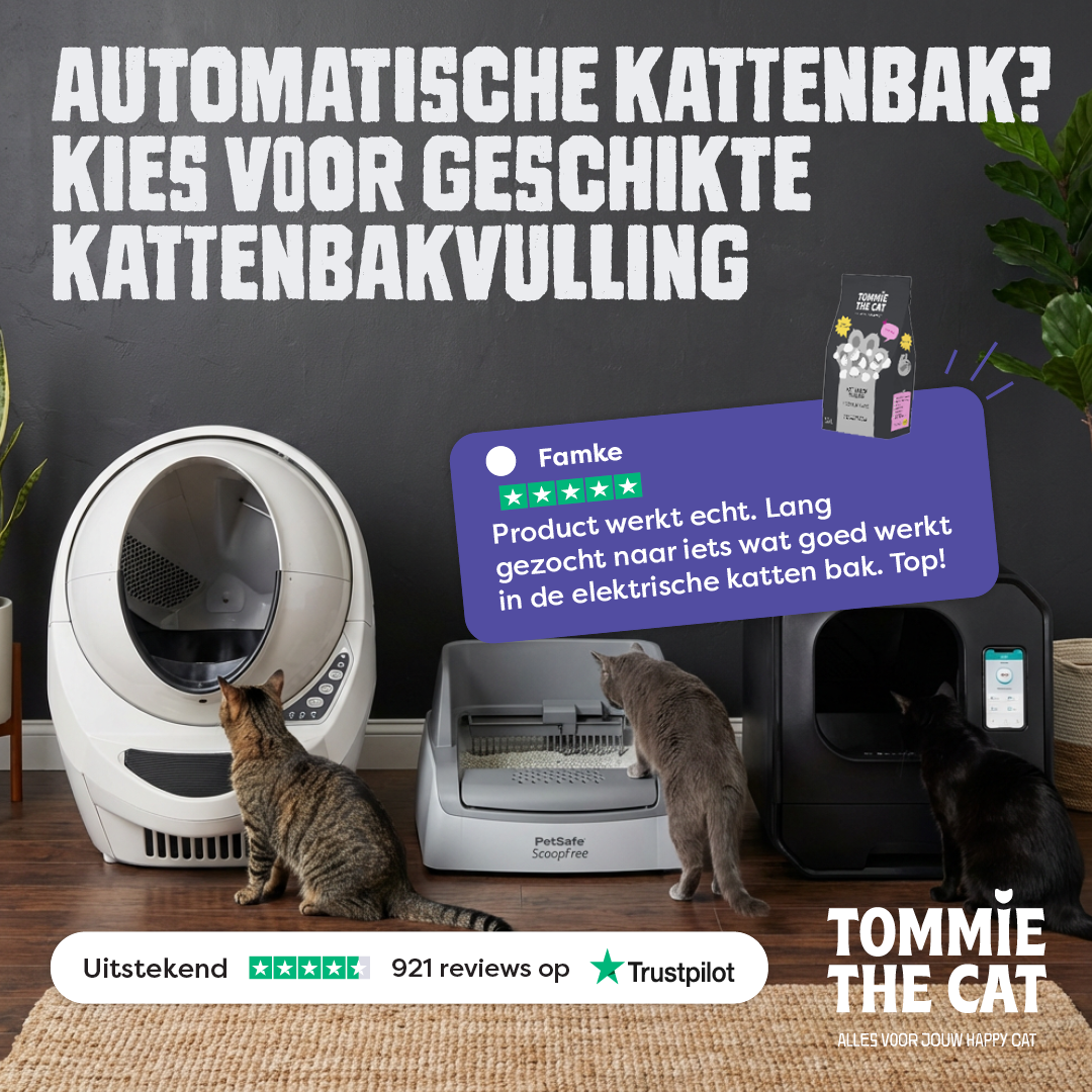 Tommie the Cat Facebook ad