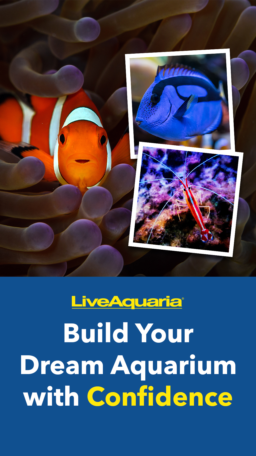LiveAquaria.com Facebook ad