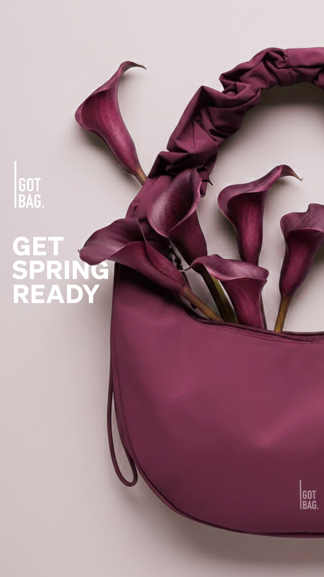 GOT BAG Facebook ad