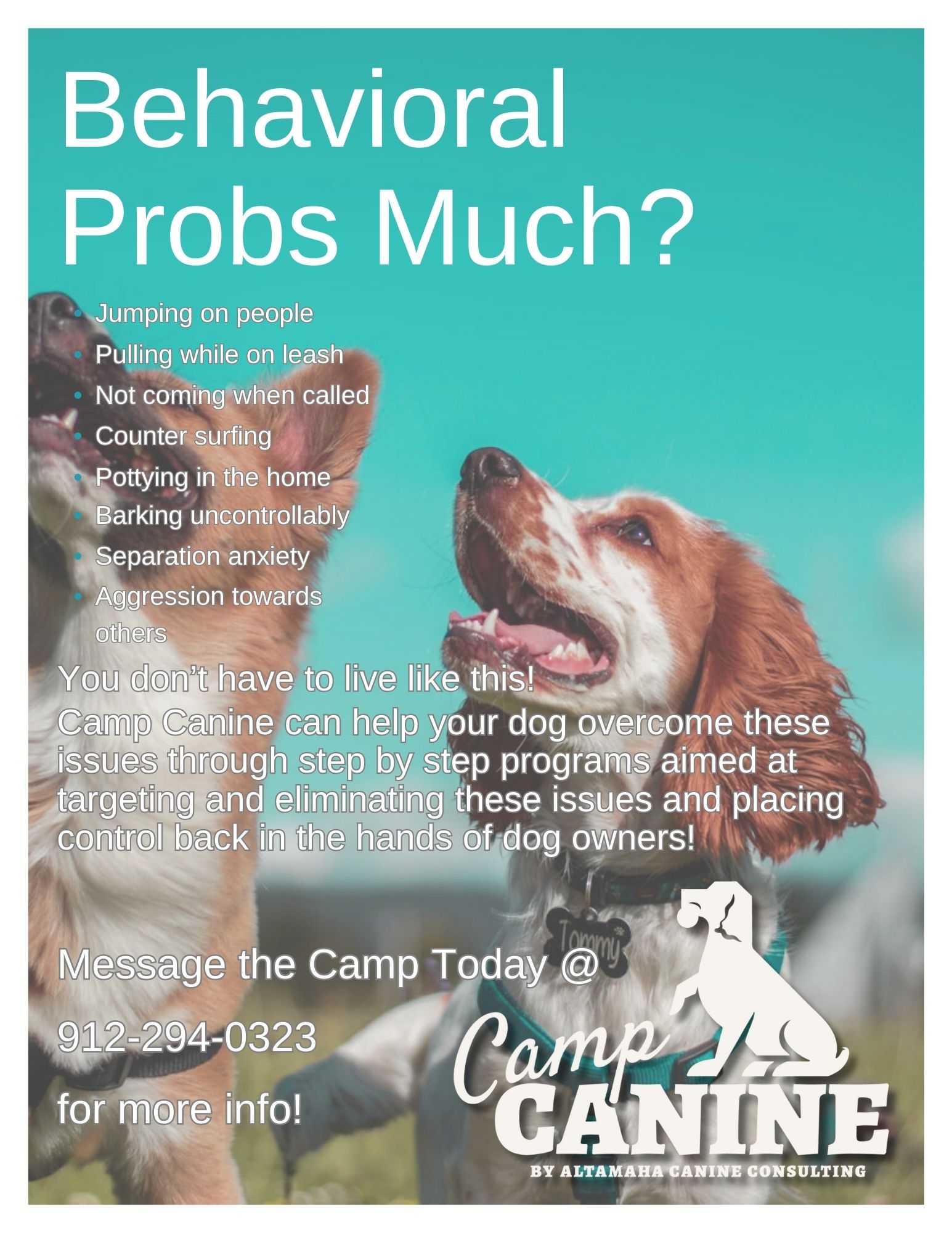 Altamaha Canine Consulting Farm and Kennel. Facebook ad: We Train, You Play!