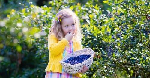 All Seasons Garden and Floral Facebook ad