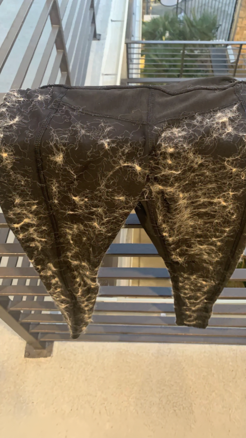 James Walsh Facebook ad: Read this if pet hair is ruining your washing.