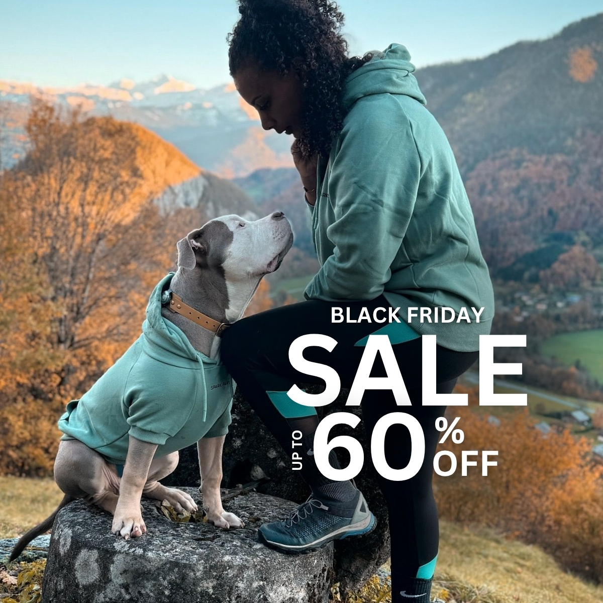 Spark Paws Facebook ad