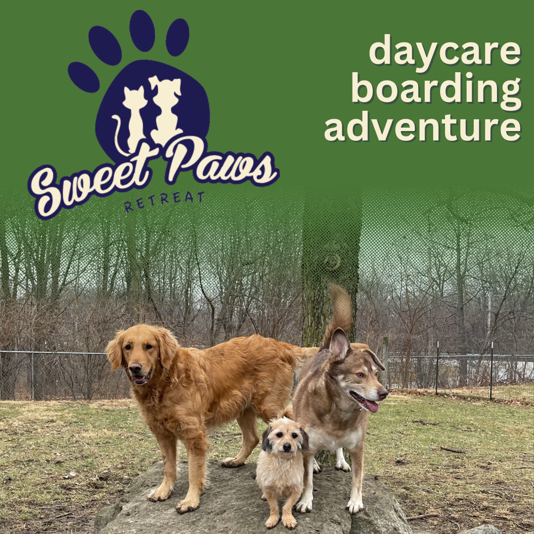 Sweet Paws Retreat Facebook ad from Aug 14, 2023