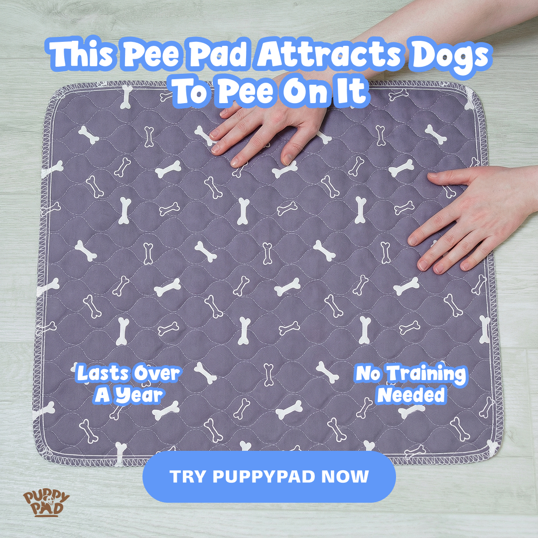 PuppyPad Facebook ad
