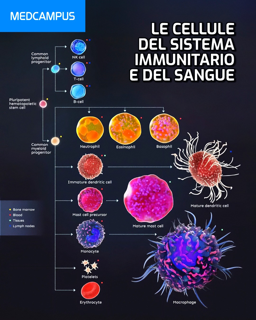 MedCampus Facebook ad