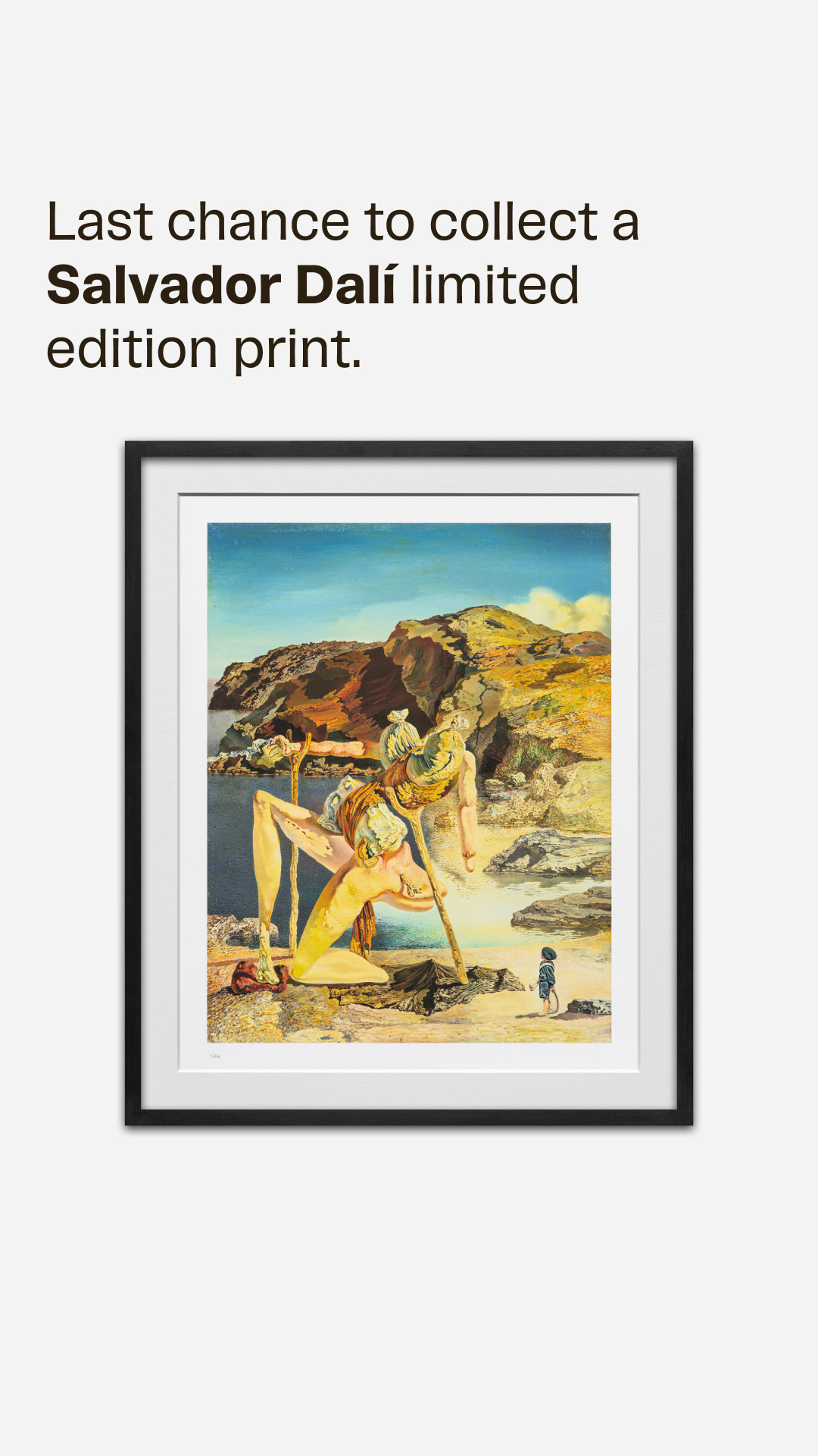 Avant Arte Facebook ad