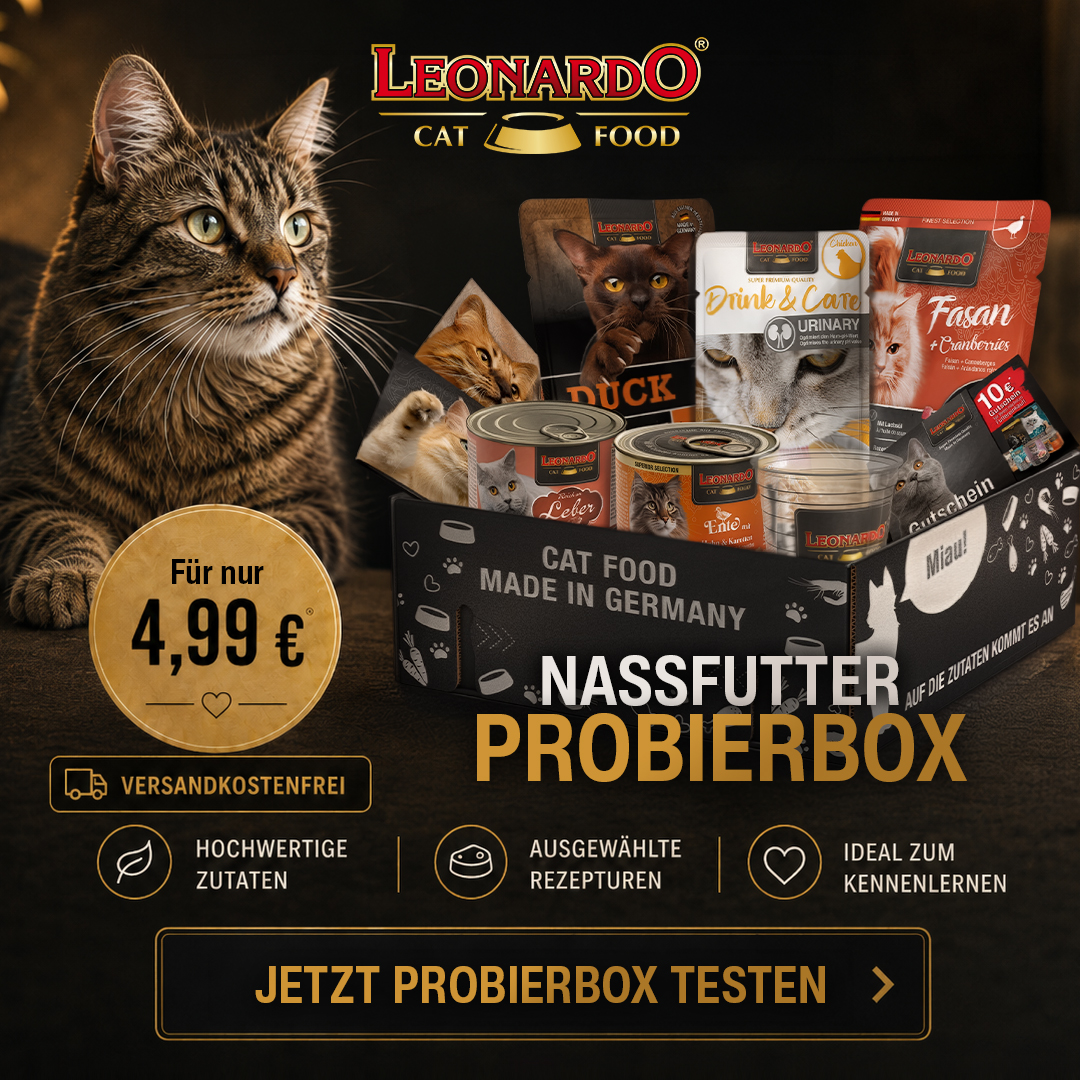 LEONARDO catfood Facebook ad from Jul 6, 2026