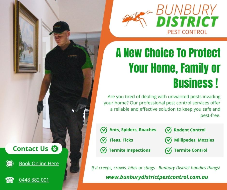 Bunbury District Pest Control Facebook ad: If it creeps, crawls, bites or stings …