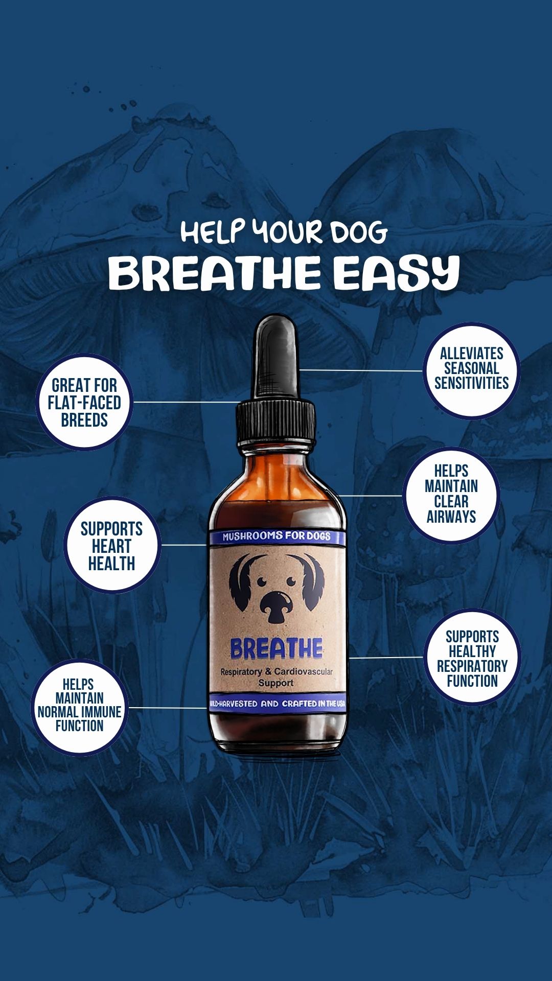 MycoDog Facebook ad from Mar 16, 2026