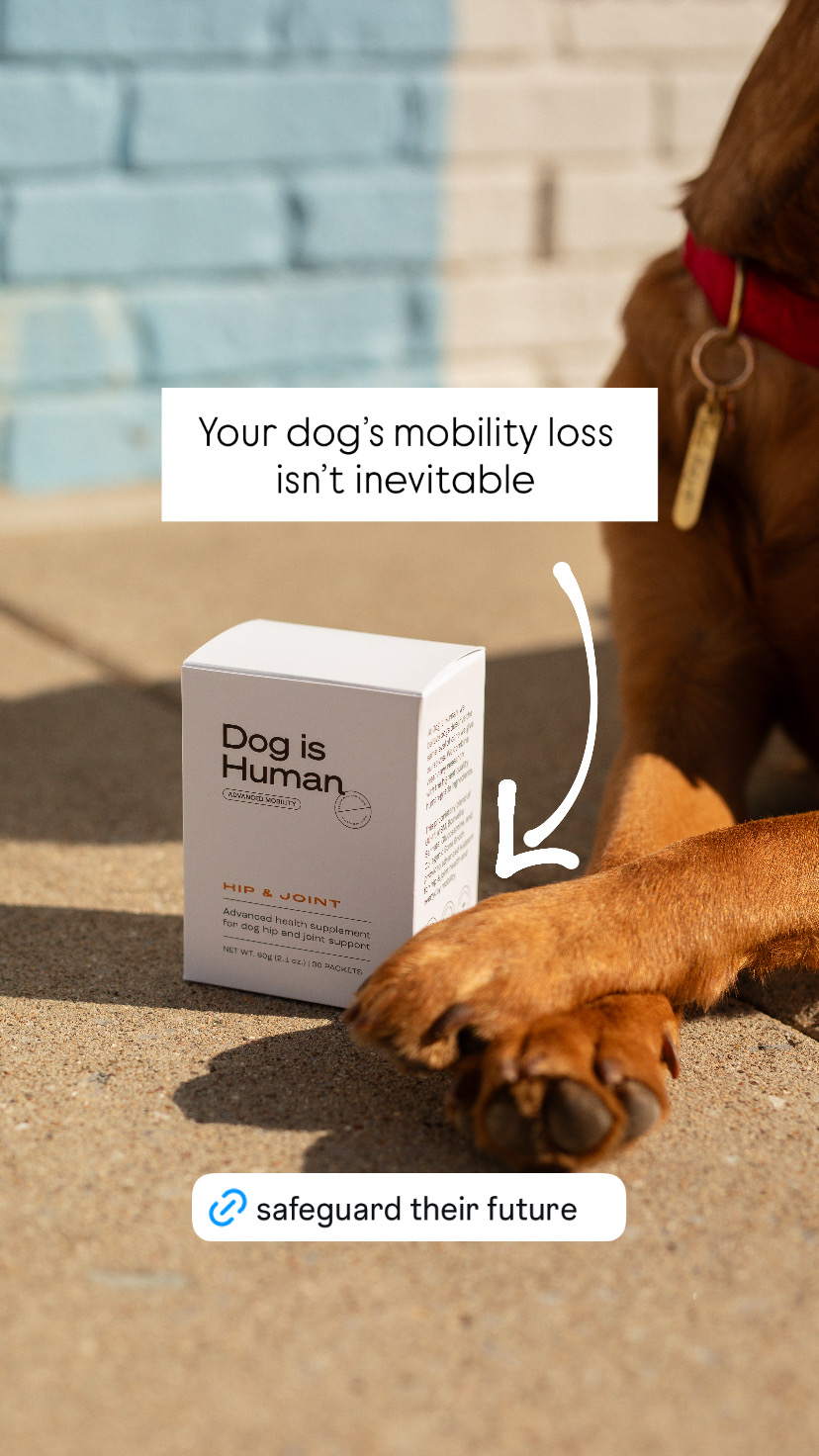 Dog is Human Facebook ad