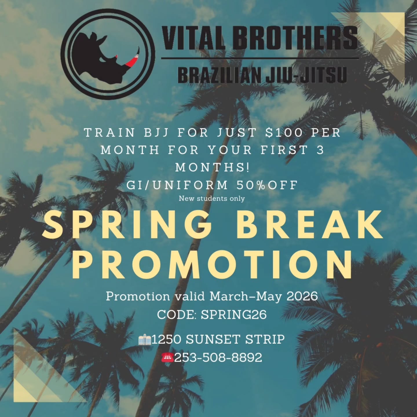 VITAL Brothers BJJ MH Facebook ad: Vital Brazilian Jiu Jitsu