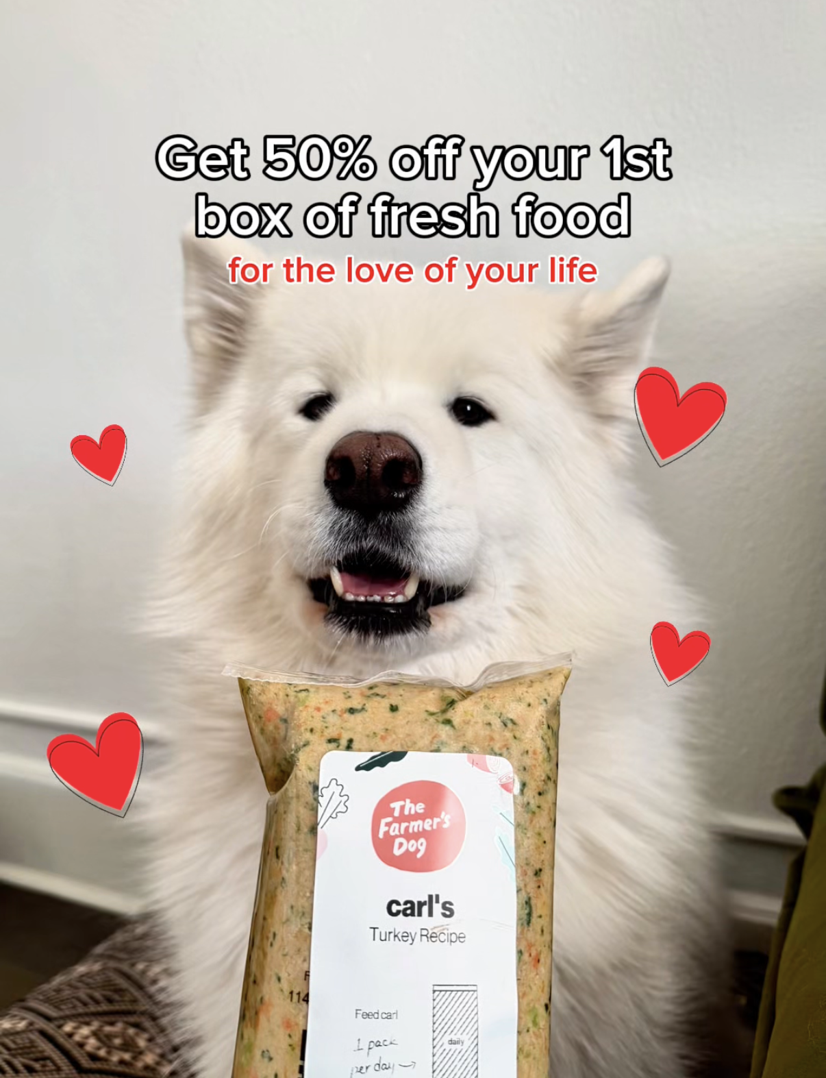Carl The Sammy Facebook ad