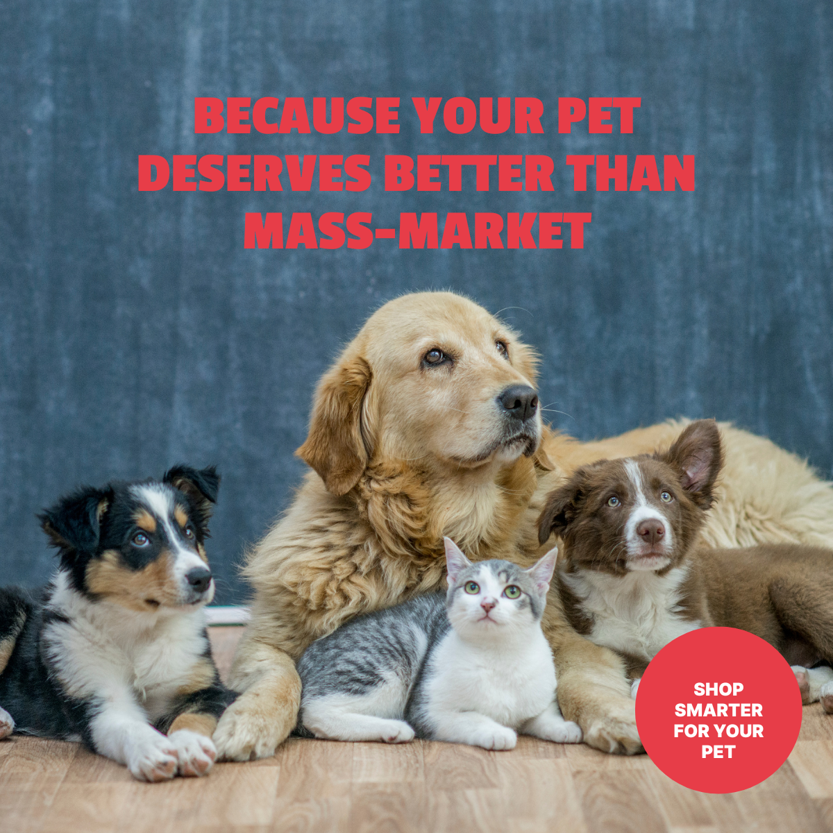 Lucky Pet Facebook ad: Shop Smarter for Your Pet