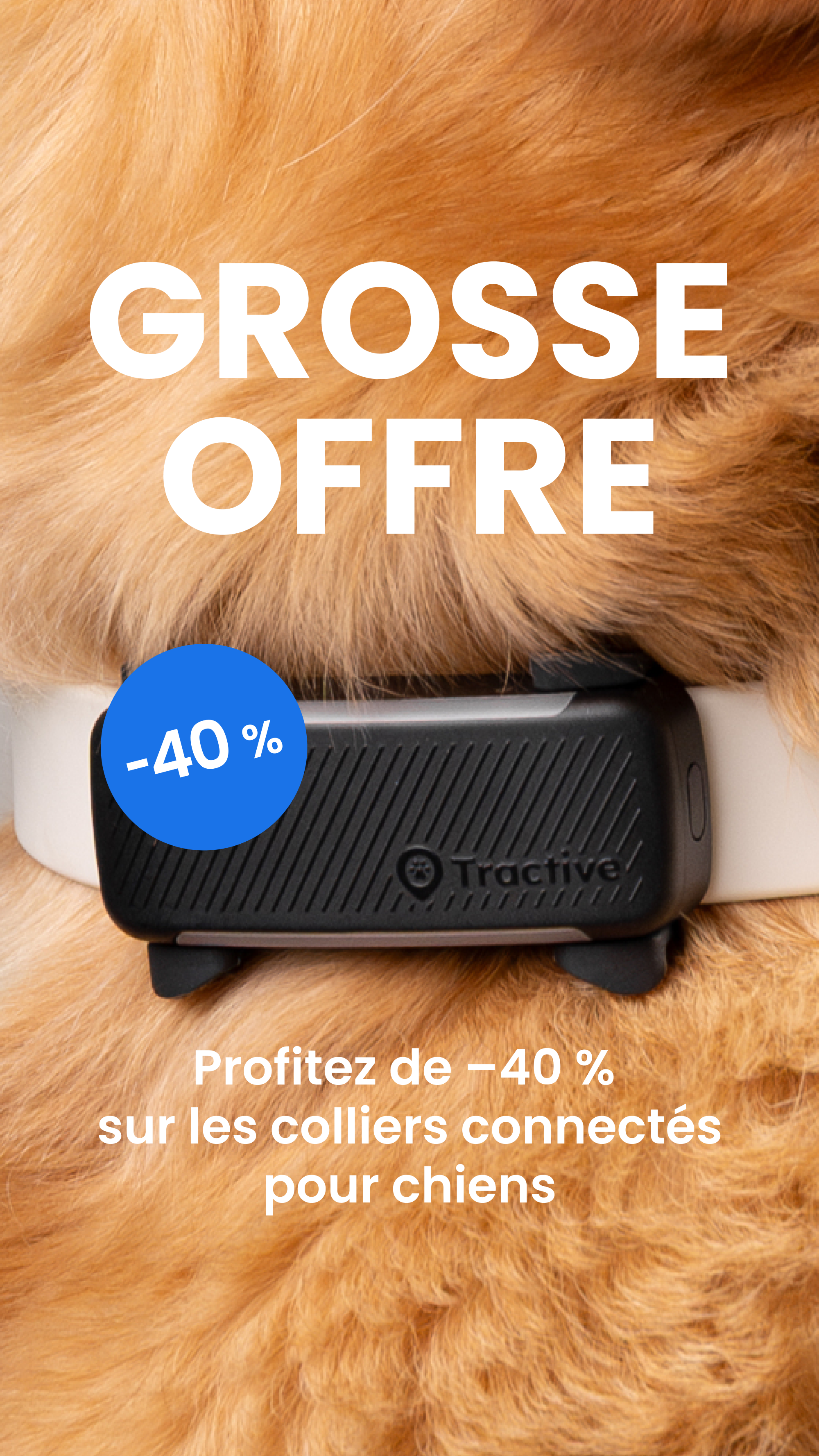 Tractive Facebook ad